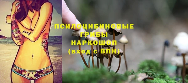 гашик Алексеевка