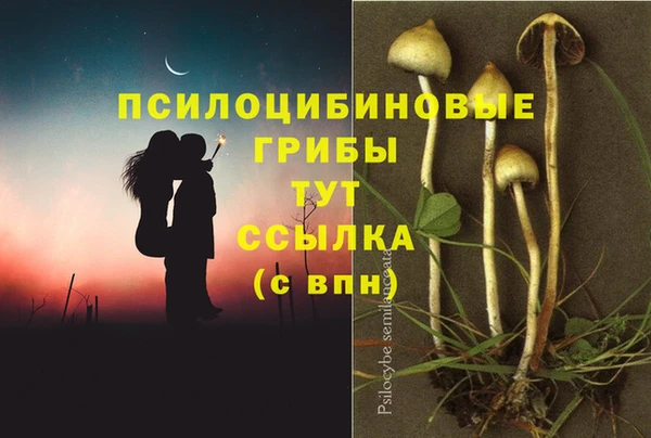экстази Абаза