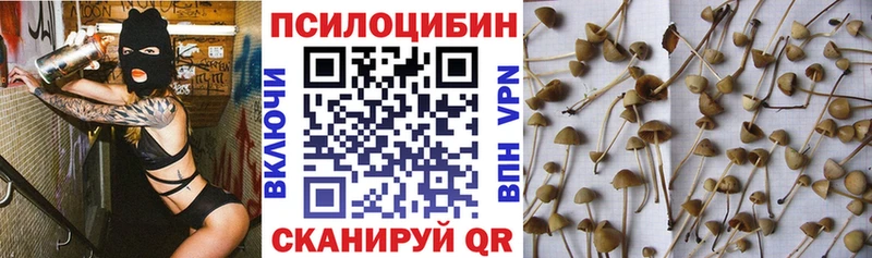 Псилоцибиновые грибы прущие грибы  где купить наркоту  Таганрог 